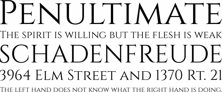 Cinzel Font Free By Natanael Gama Font Squirrel