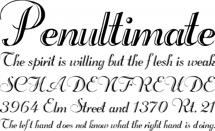 Rechtman Script Free